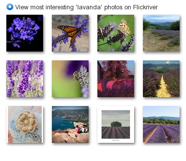 View most interesting 'lavanda' photos on Flickriver