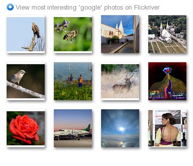 View most interesting 'google' photos on Flickriver