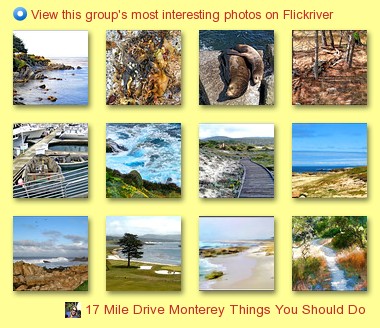 17 Mile Drive Monterey Things You Should Do Flickr Group - View this group's most interesting photos on Flickriver 17 Mile Drive Monterey Things You Should Do Flickr Group - View this group's most interesting photos on Flickriver