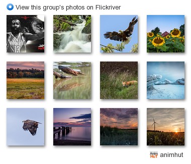 animhut - View this group's photos on Flickriver