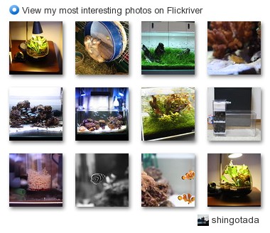 shingotada - View my most interesting photos on Flickriver
