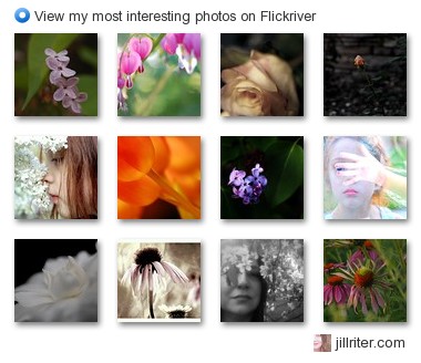 jillriter.com - View my most interesting photos on Flickriver