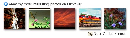 Noel C. Hankamer - View my most interesting photos on Flickriver