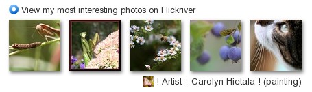 ! Artist - Carolyn Hietala ! - View my most interesting photos on Flickriver