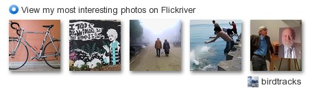 birdtracks - View my most interesting photos on Flickriver