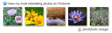 photoholic image - View my most interesting photos on Flickriver