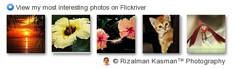 Rizalman Kasman - View my most interesting photos on Flickriver