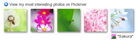 *Sakura* - View my most interesting photos on Flickriver