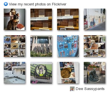 msdeena - View my recent photos on Flickriver