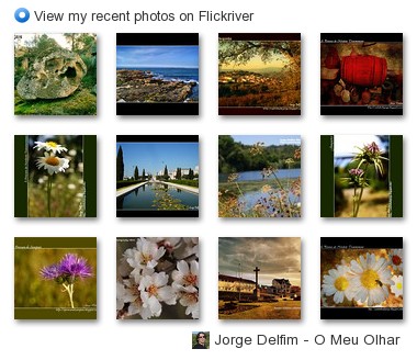 Jorge Delfim - O Meu Olhar - View my recent photos on Flickriver