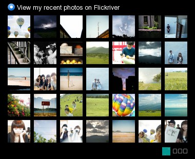 先生狗 - View my recent photos on Flickriver