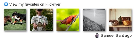 sammysantiago - View my favorites on Flickriver