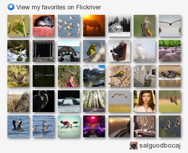 salguodbocaj - View my favorites on Flickriver