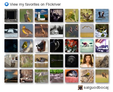 salguodbocaj - View my favorites on Flickriver