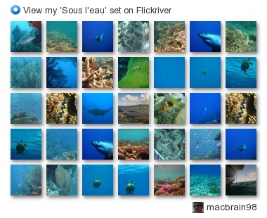 macbrain98 - View my 'Sous l'eau' set on Flickriver
