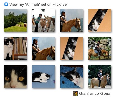 Gianfranco Goria - View my 'Animali' set on Flickriver