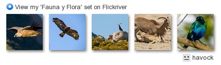 havock - View my 'Fauna y Flora' set on Flickriver