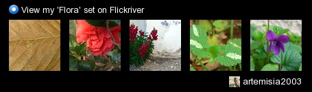 artemisia2003 - View my 'Flora' set on Flickriver
