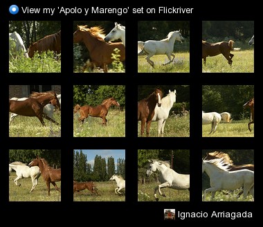 Ignacio Arriagada - View my 'Sur Dic-09' set on Flickriver
