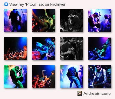 AndBrice - View my 'Pitbull' set on Flickriver