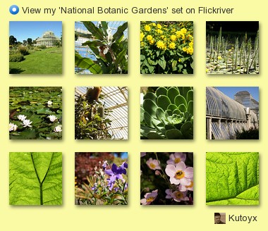Kutoyx - View my 'National Botanic Gardens' set on Flickriver