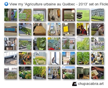 chupacabra.art - View my 'Agriculture urbaine au Québec - 2013' set on Flickriver