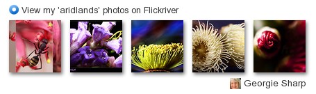 Georgie Sharp - View my 'aridlands' photos on Flickriver