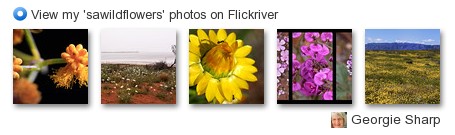 Georgie Sharp - View my 'sawildflowers' photos on Flickriver