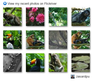 Jasardpu - View my recent photos on Flickriver