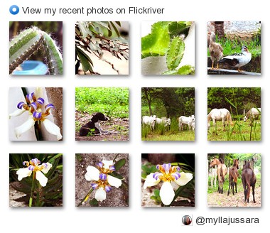 @myllajussara - View my recent photos on Flickriver