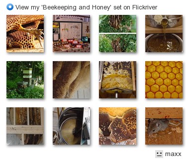 maxx - View my 'Beekeeping and Honey' set on Flickriver